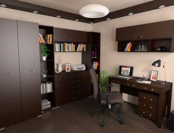 дизайн интерьера кабинета в квартире, фото 9