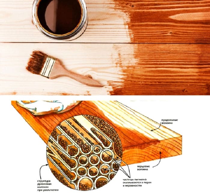 Проникновение морилки в структуру древесины