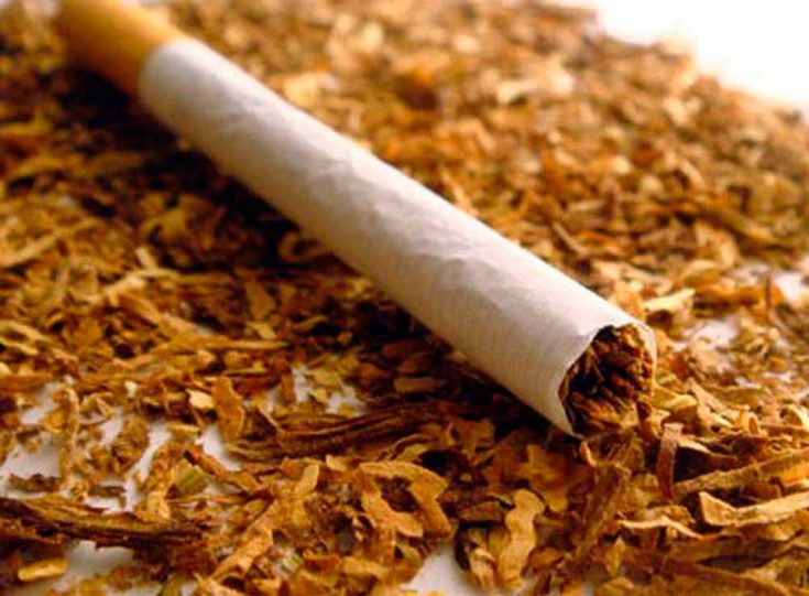 Табак в борьбе с молью